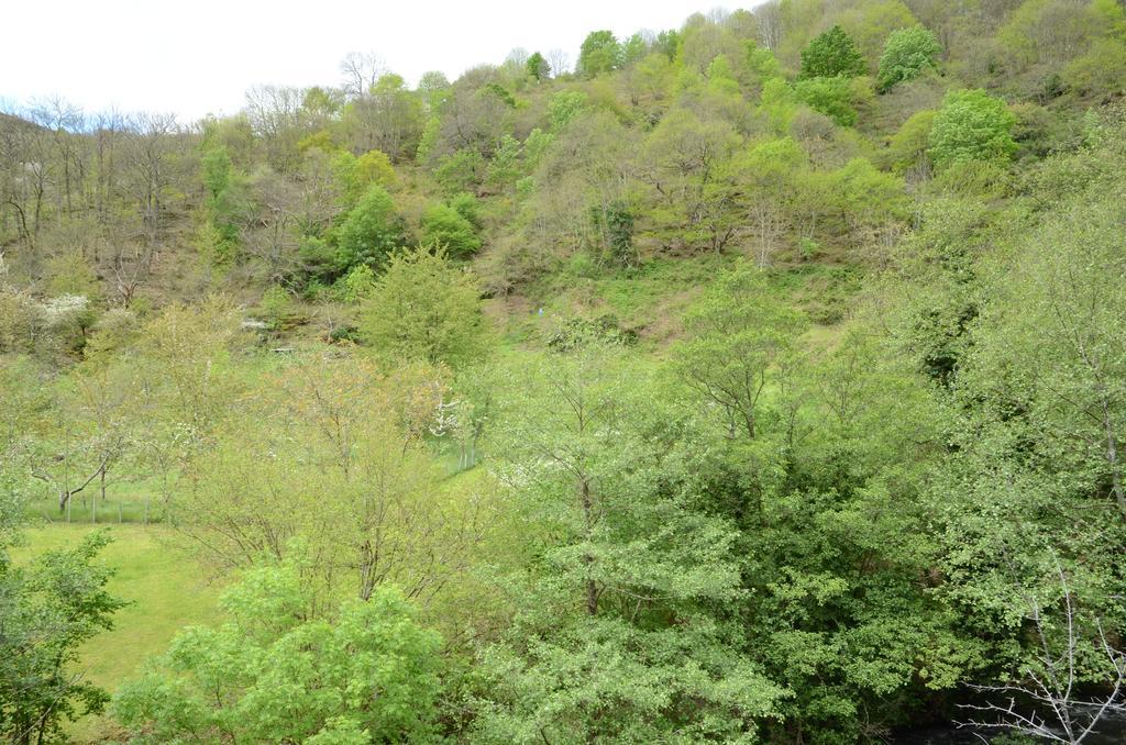 Apartamentos El Rincon De Limes Cangas del Narcea Kültér fotó