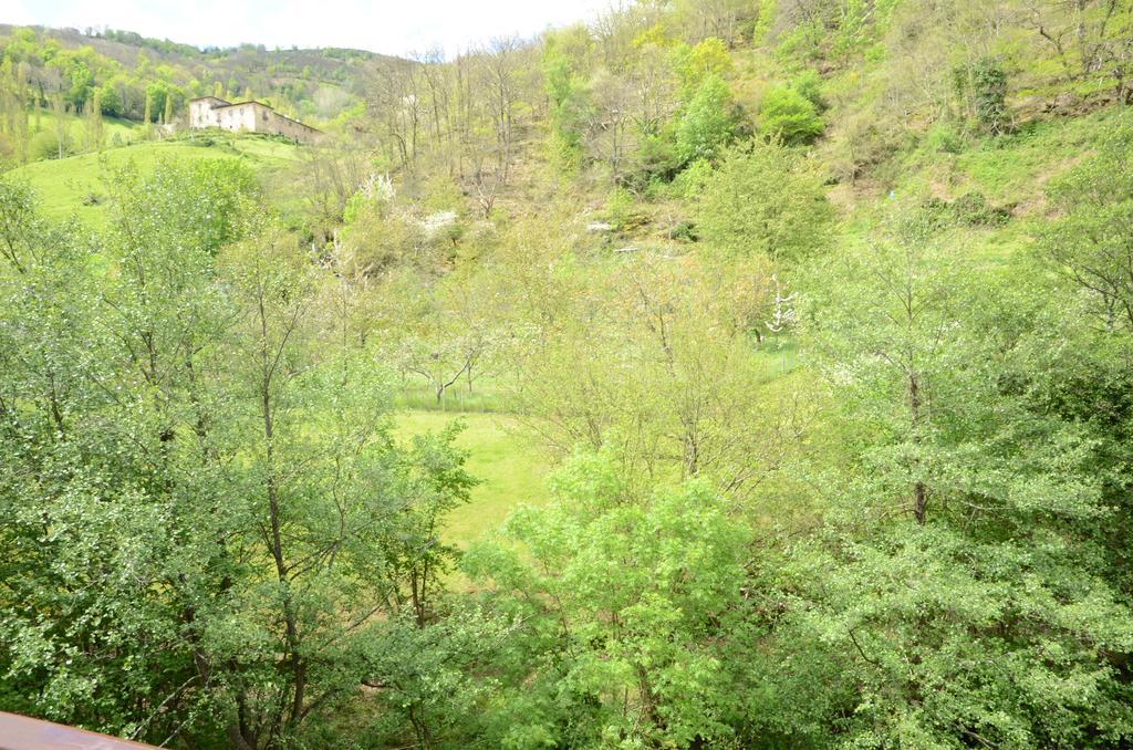 Apartamentos El Rincon De Limes Cangas del Narcea Kültér fotó